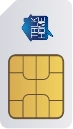 bigSim